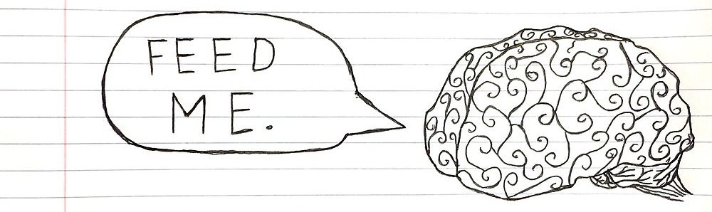 Marlena’s Student Teaching Journey